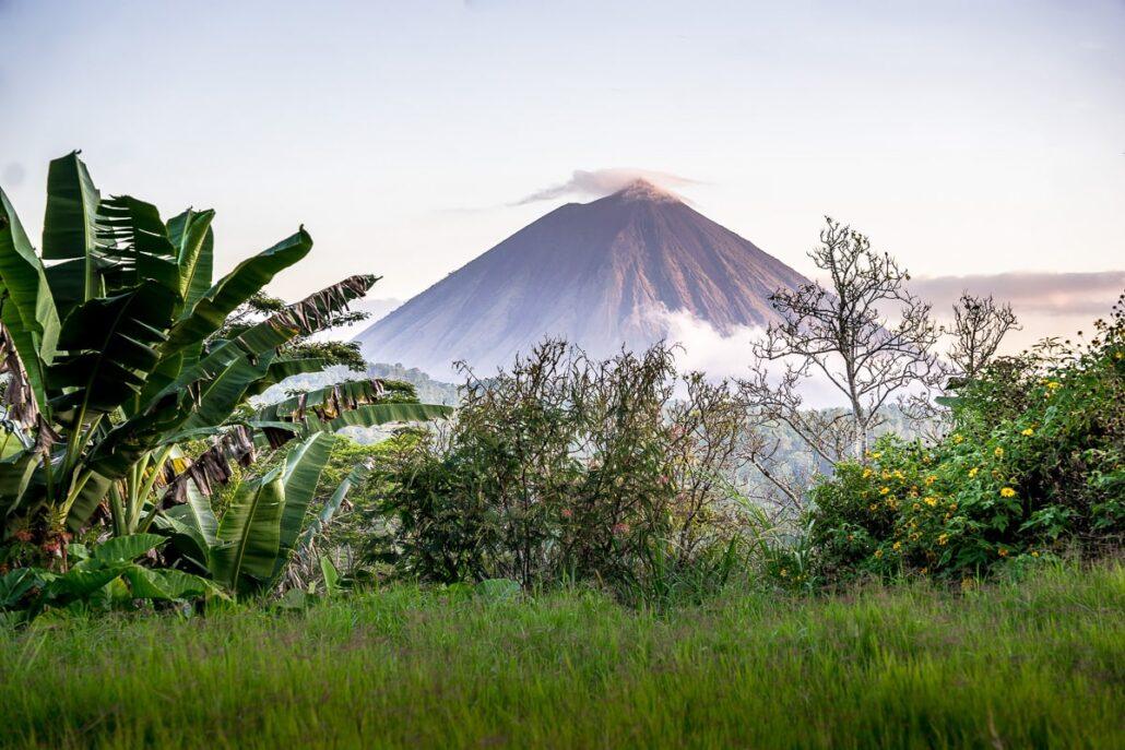 Bajawa village