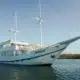 3 days shared trip. A white boat named Mosalaki anchored in calm waters, with clear skies and green trees in the background.