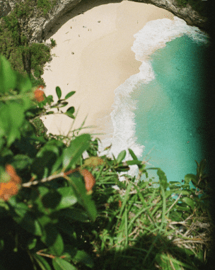 1 day fast boat tour. View from above of a secluded beach with golden sand and turquoise waves, framed by lush greenery.