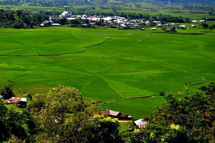 spider web rice field flores​, Lush green rice fields with geometric patterns, surrounded by a small village and distant hills under a clear blue sky.